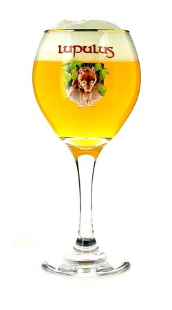 Lupulus verre